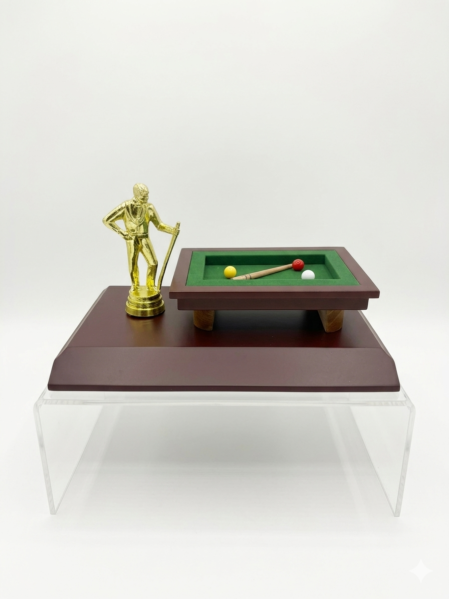 Trofeo Deportivo Billar 01